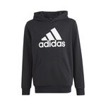 Ropa adidas Big Logo Essentials Cotton Hoodie