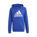 Ropa adidas Big Logo Essentials Cotton Hoodie