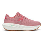 Zapatillas Para Correr Saucony Triumph RFG